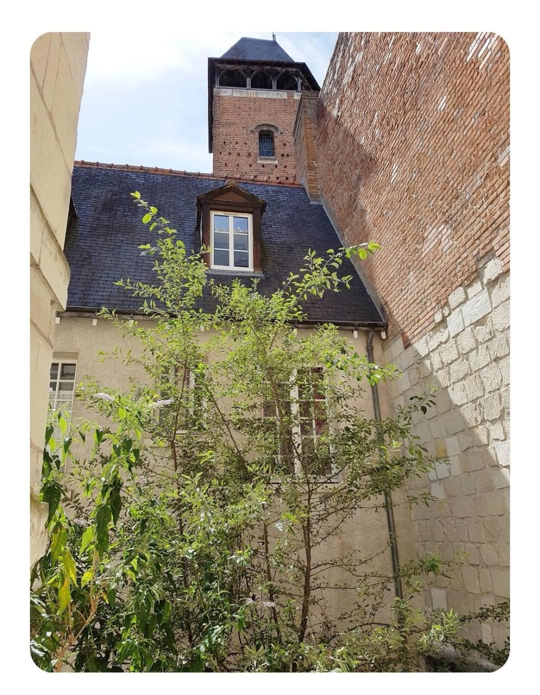 Ferienwohnung Havre De Paix Avec Exterieur Au Coeur Du Vieux Tours Exterior foto